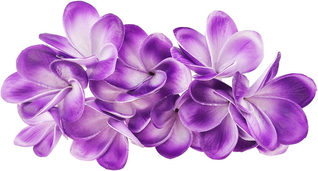 Bunch of 10 PU Real Touch Lifelike Artificial Plumeria Frangipani Flower Bouquets Fake Wedding Cake Home Party Decoration (White)