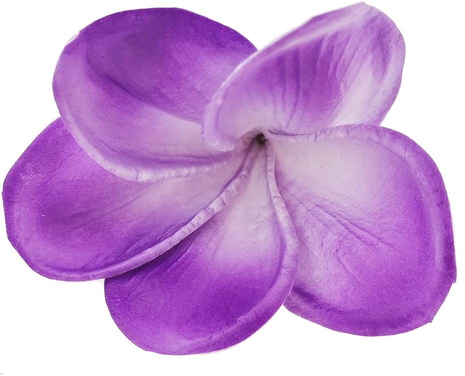 Bunch of 10 PU Real Touch Lifelike Artificial Plumeria Frangipani Flower Bouquets Fake Wedding Cake Home Party Decoration (White)