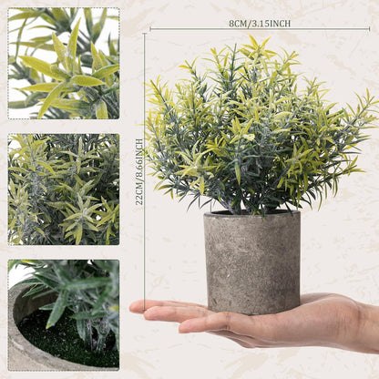 6 Pack Small Artificial Greenery Potted Plants Indoor Mini Fake Eucalyptus Rosemary Succulents in Pulp Rustic Farmhouse Table Centerpiece for Shelf Bathroom Bedroom Kitchen Office