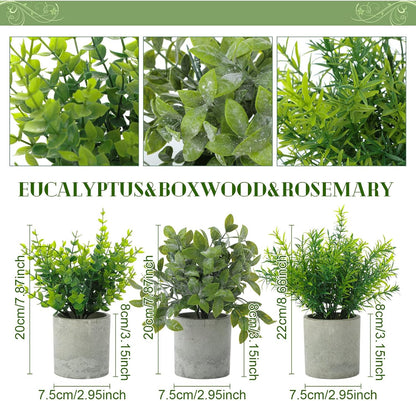 6 Pack Small Artificial Greenery Potted Plants Indoor Mini Fake Eucalyptus Rosemary Succulents in Pulp Rustic Farmhouse Table Centerpiece for Shelf Bathroom Bedroom Kitchen Office