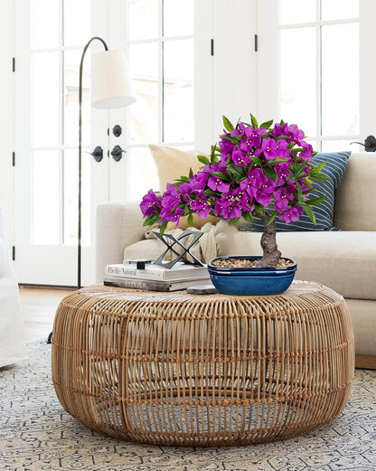Artificial Bougainvillea Bonsai Tree 18.5" Silk Bougainvillea Plant with Blue Pot Fake Bougainvillea Floral Tree for Home Office Room Desk Shelf Zen Décor(Purple)