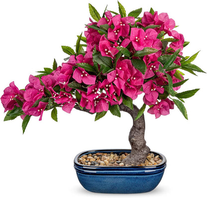 Artificial Bougainvillea Bonsai Tree 18.5" Silk Bougainvillea Plant with Blue Pot Fake Bougainvillea Floral Tree for Home Office Room Desk Shelf Zen Décor(Purple)