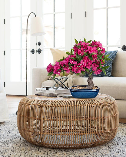 Artificial Bougainvillea Bonsai Tree 18.5" Silk Bougainvillea Plant with Blue Pot Fake Bougainvillea Floral Tree for Home Office Room Desk Shelf Zen Décor(Purple)