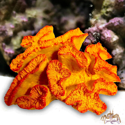 Aquarium Coral Ornaments Decor Fish Tank Plants Decoration for Aquarium Landscape,Purple