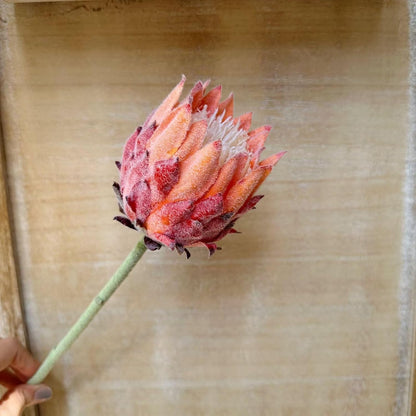 4Pcs Artificial King Protea Flower Faux King Protea Tropical Flowers Stem Fake Cynaroides Floral Arrangements for Wedding Party Centerpiece Home Office Garden Decor