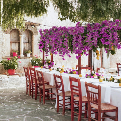5.9 Ft Artificial Bougainvillea Flowers Garland 2PCS Fake Silk Bougainvillea Vines Long Plant Faux Bougainvillea Wreaths for Centerpieces Table Runner Wedding Arch Wall Decorations (Deep Pink)