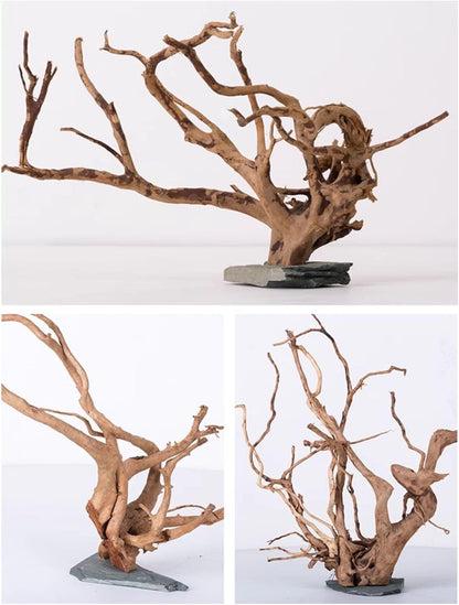 Natural Large Spider Wood Driftwood for Aquarium, Terrarium, Vivarium, and Reptile, Aquarium Décor, Reptile Tank, Aquarium décor Wood Aquascaping Wood for Reptile Enclosure (9-14inch)