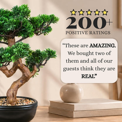 Artificial Bonsai Tree 16" Tall with Realistic Wood and Ceramic Pot, Fake Plants for Home, Bedroom and Office Desk, Japanese Decor