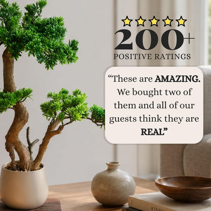 Artificial Bonsai Tree 16" Tall with Realistic Wood and Ceramic Pot, Fake Plants for Home, Bedroom and Office Desk, Japanese Decor