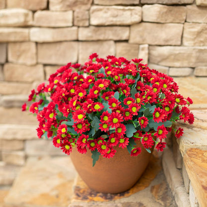 Daisy Artificial Flowers for Outdoors Autumn Fall Decoration, 6 Bundles Fake Mums Red Silk Flowers for Outside Look Real UV Resistant Fake Plants Faux Flowers for Planter Front Door Home Indoor Porch