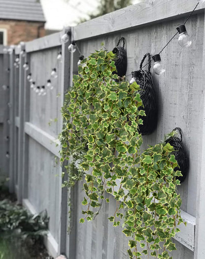 2pcs Artificial Hanging Plants 24" Fake Ivy Vine Faux Ivy Leaves Hanging Plant Greenery for Wall House Room Patio Indoor Outdoor Home Shelf Office Wedding Decor