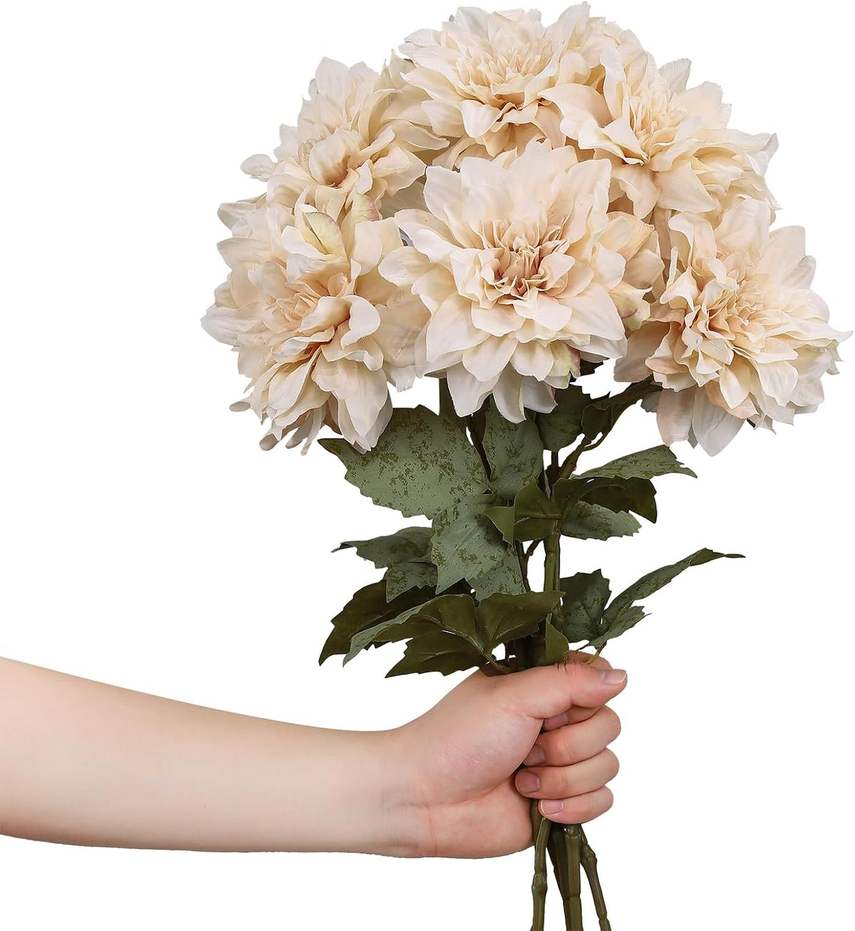 6PCS Artificial Dahlia Flowers,23.5" Long Stems(Light Champagne)