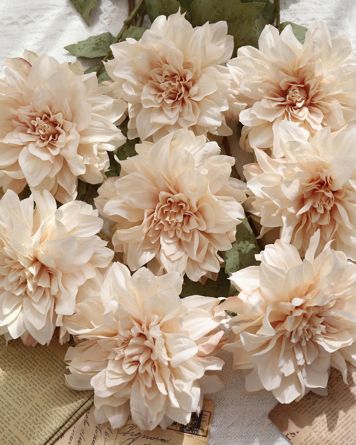 6PCS Artificial Dahlia Flowers,23.5" Long Stems(Light Champagne)