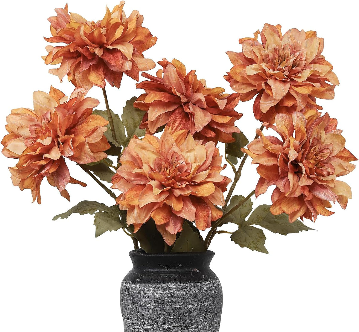 6PCS Artificial Dahlia Flowers,23.5" Long Stems(Light Champagne)