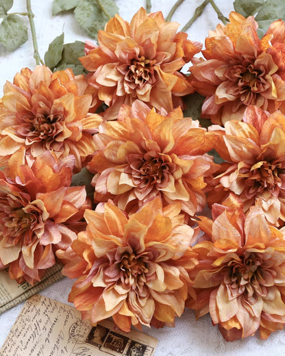 6PCS Artificial Dahlia Flowers,23.5" Long Stems(Light Champagne)