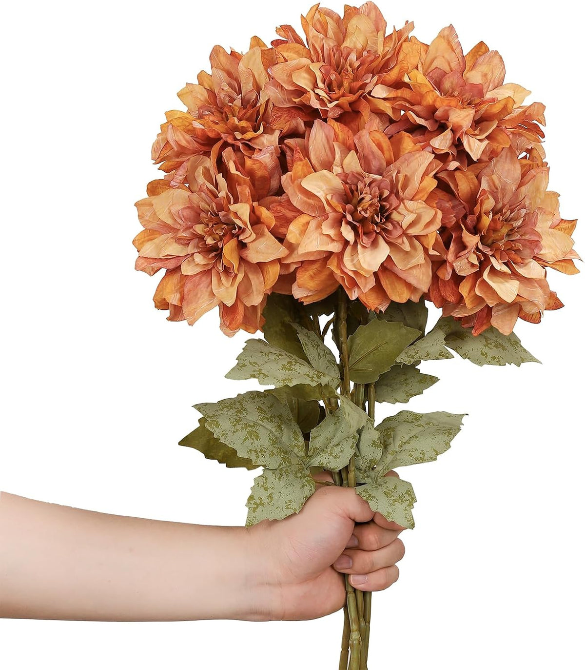 6PCS Artificial Dahlia Flowers,23.5" Long Stems(Light Champagne)