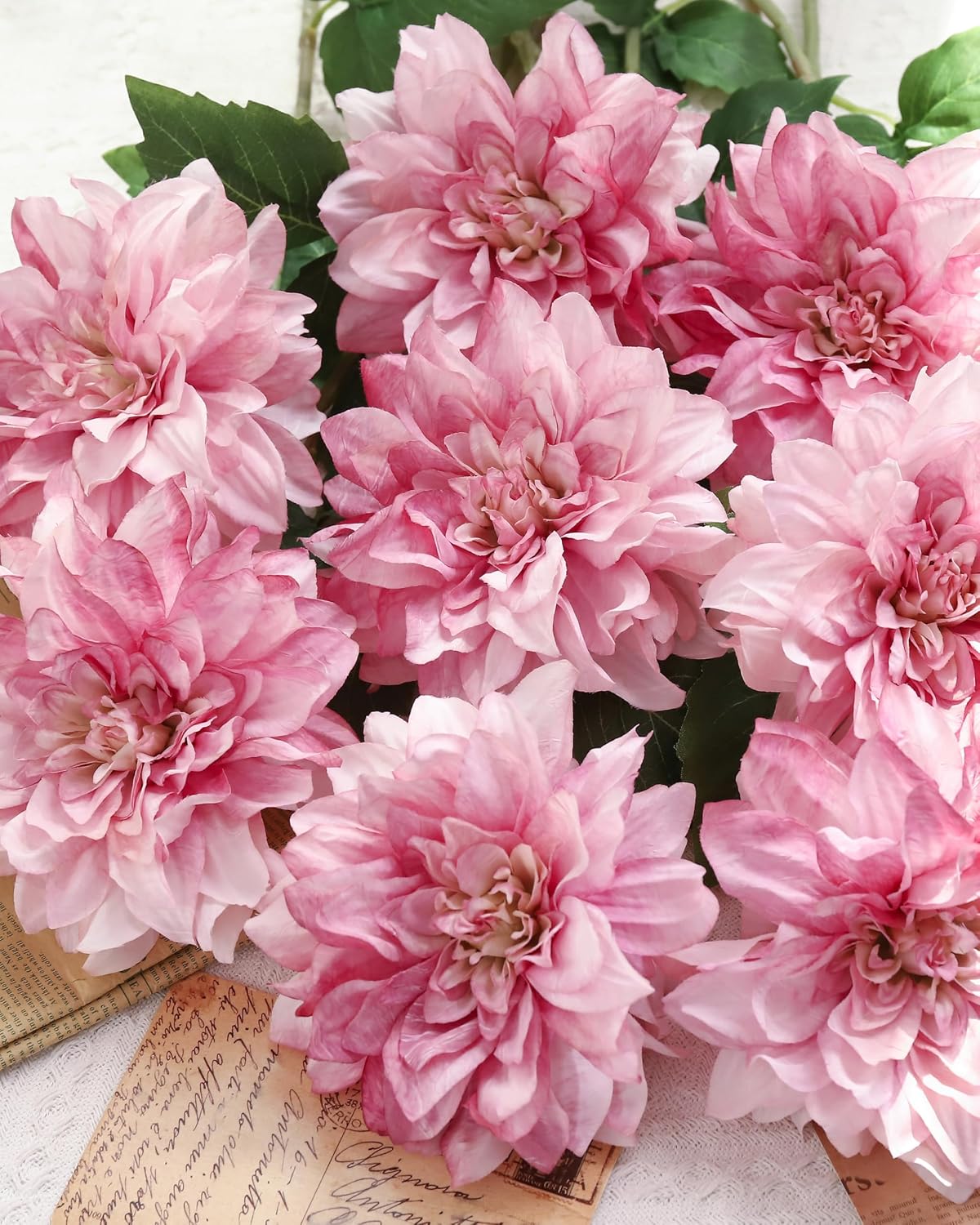6PCS Artificial Dahlia Flowers,23.5" Long Stems(Light Champagne)
