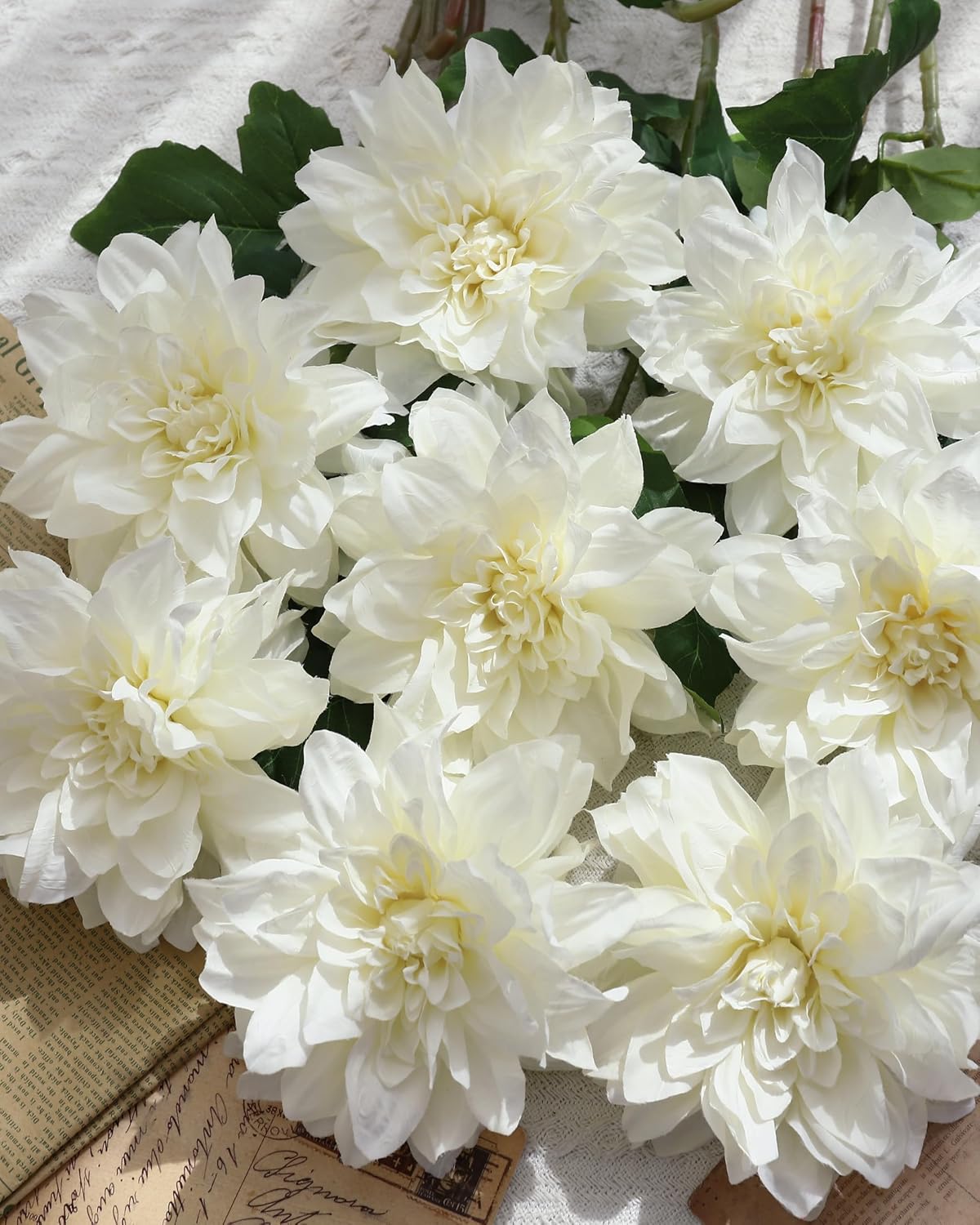 6PCS Artificial Dahlia Flowers,23.5" Long Stems(Light Champagne)