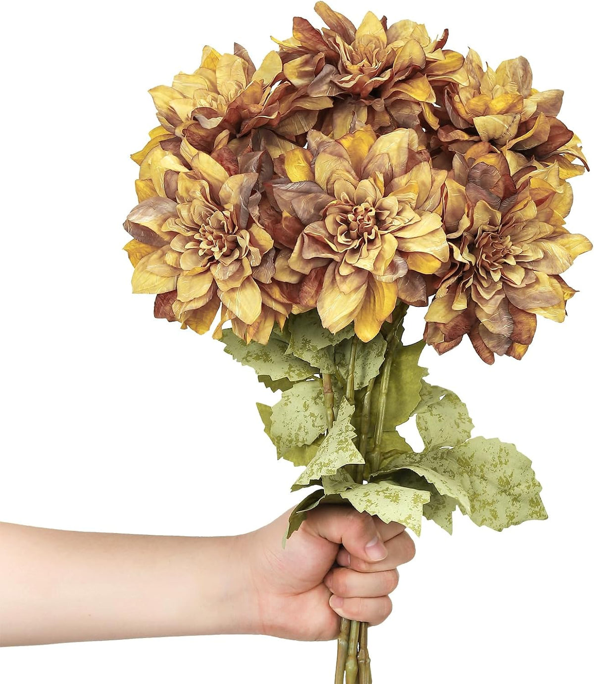6PCS Artificial Dahlia Flowers,23.5" Long Stems(Light Champagne)
