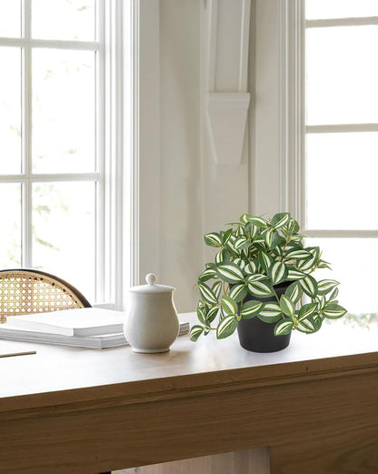 Artificial English Ivy Hanging Plants 2pcs Faux Ivy Vines with Black Pot Small Fake Potted Greenery Plant for Indoor Home Aesthetic Living Room Bathroom Desk Shelf Office Decor
