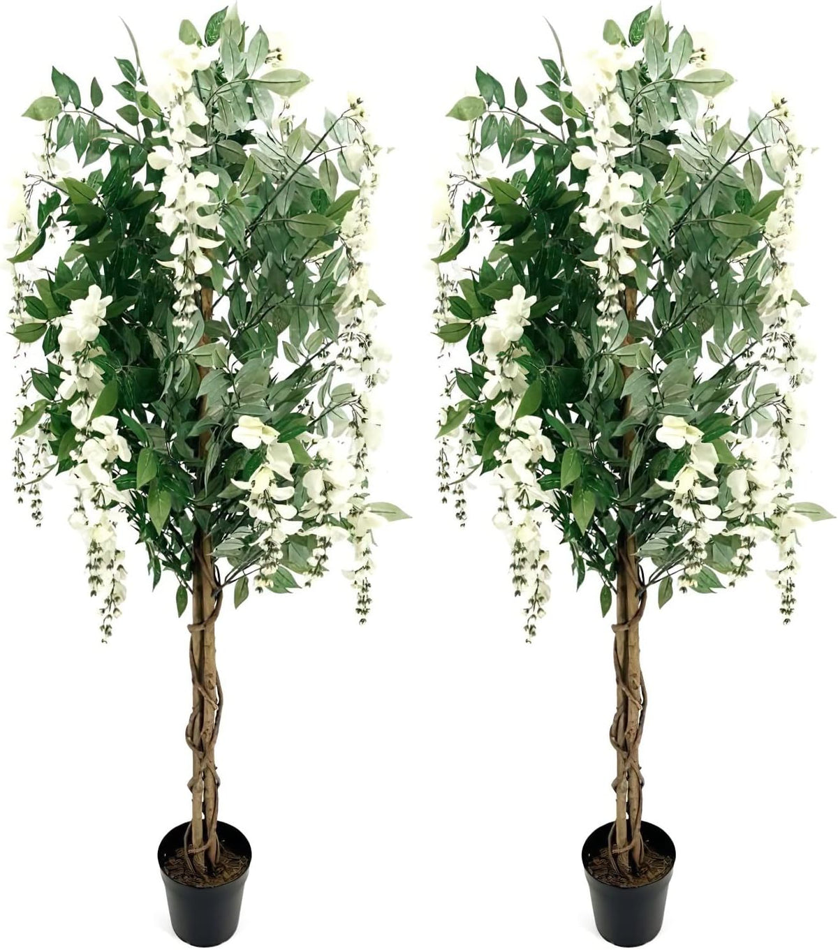 White Pair Gorgeous & Dense 5 Feet Artificial Silk Wisteria Trees with Flowers, with Nursery Pots, Feel Real Technology, 5'