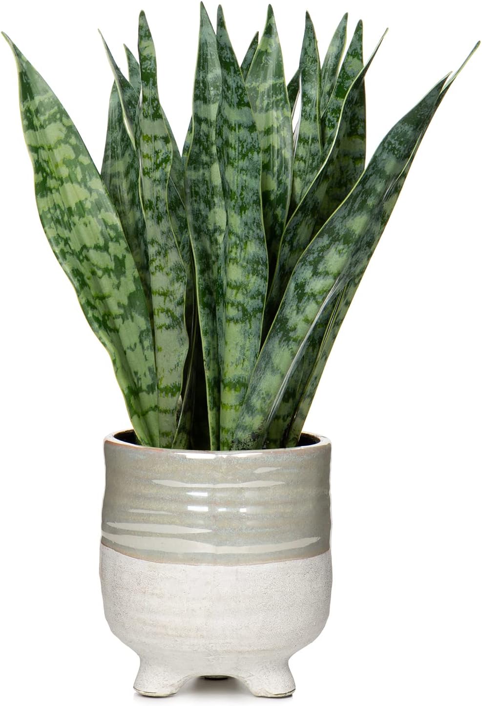 Artificial Snake Plant Potted Faux Sansevieria Trifasciata Plants, 16.5" Tropical Fake Snake Plants in White Pots for Home Office Room Indoor Decor Housewarming Gifts