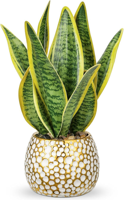 Artificial Snake Plant Potted Faux Sansevieria Trifasciata Plants, 16.5" Tropical Fake Snake Plants in White Pots for Home Office Room Indoor Decor Housewarming Gifts