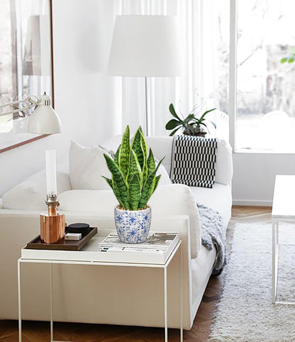 Artificial Snake Plant Potted Faux Sansevieria Trifasciata Plants, 16.5" Tropical Fake Snake Plants in White Pots for Home Office Room Indoor Decor Housewarming Gifts