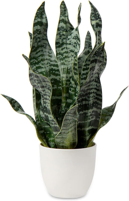 Artificial Snake Plant Potted Faux Sansevieria Trifasciata Plants, 16.5" Tropical Fake Snake Plants in White Pots for Home Office Room Indoor Decor Housewarming Gifts