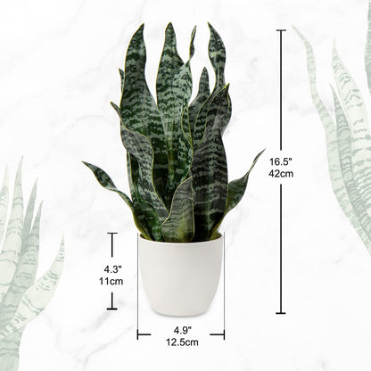 Artificial Snake Plant Potted Faux Sansevieria Trifasciata Plants, 16.5" Tropical Fake Snake Plants in White Pots for Home Office Room Indoor Decor Housewarming Gifts