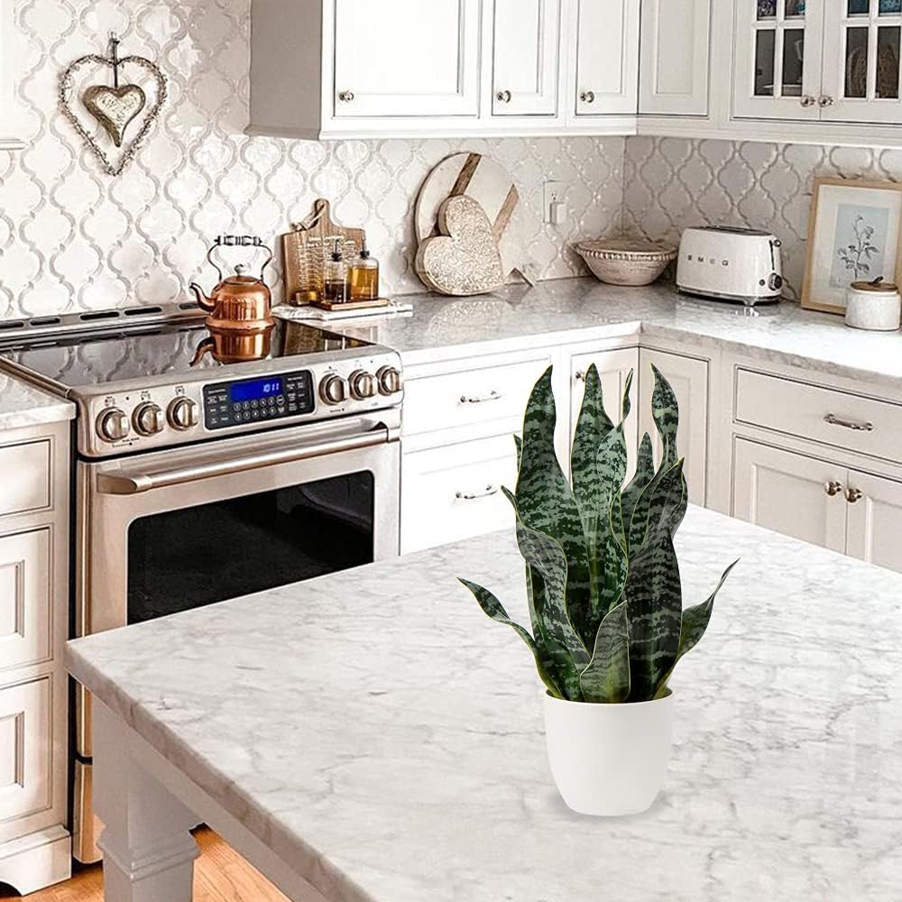 Artificial Snake Plant Potted Faux Sansevieria Trifasciata Plants, 16.5" Tropical Fake Snake Plants in White Pots for Home Office Room Indoor Decor Housewarming Gifts