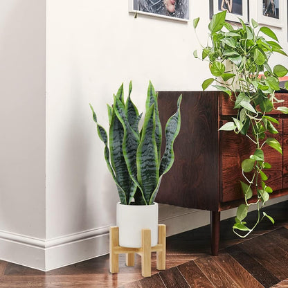 Artificial Snake Plant Potted Faux Sansevieria Trifasciata Plants, 16.5" Tropical Fake Snake Plants in White Pots for Home Office Room Indoor Decor Housewarming Gifts