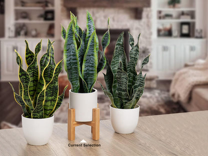 Artificial Snake Plant Potted Faux Sansevieria Trifasciata Plants, 16.5" Tropical Fake Snake Plants in White Pots for Home Office Room Indoor Decor Housewarming Gifts