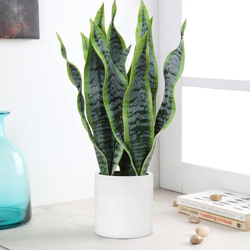 Artificial Snake Plant Potted Faux Sansevieria Trifasciata Plants, 16.5" Tropical Fake Snake Plants in White Pots for Home Office Room Indoor Decor Housewarming Gifts