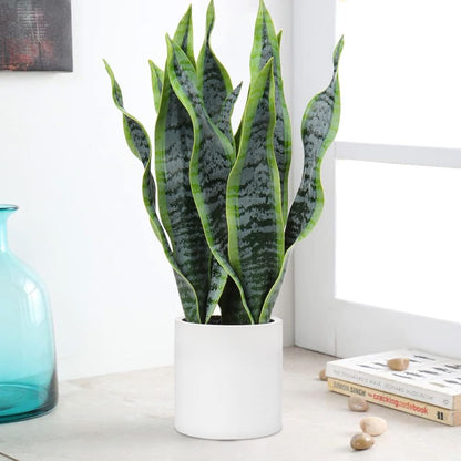 Artificial Snake Plant Potted Faux Sansevieria Trifasciata Plants, 16.5" Tropical Fake Snake Plants in White Pots for Home Office Room Indoor Decor Housewarming Gifts