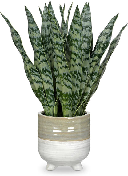 Artificial Snake Plant Potted Faux Sansevieria Trifasciata Plants, 16.5" Tropical Fake Snake Plants in White Pots for Home Office Room Indoor Decor Housewarming Gifts