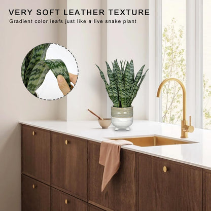 Artificial Snake Plant Potted Faux Sansevieria Trifasciata Plants, 16.5" Tropical Fake Snake Plants in White Pots for Home Office Room Indoor Decor Housewarming Gifts