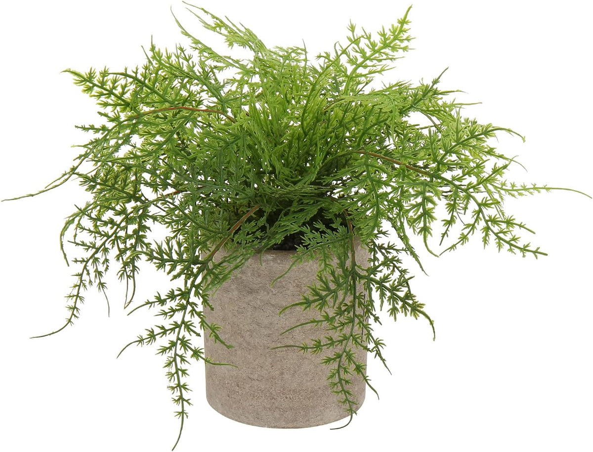 Small Fake Plant Potted Plants Artificial Decor Plastic Asparagus Ferns Plant Faux Plants in Pots for Home Living Room Bedroom Desk Shelf Farmhouse Decoration