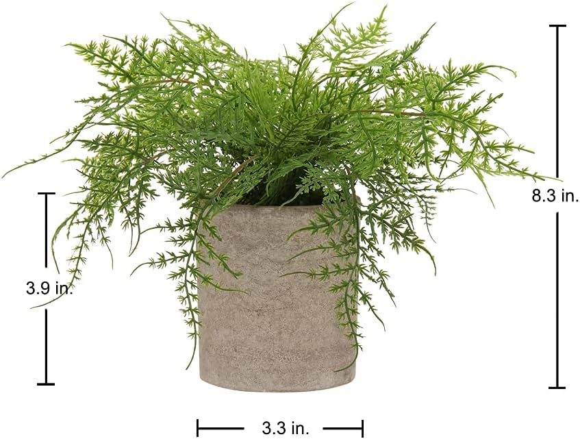 Small Fake Plant Potted Plants Artificial Decor Plastic Asparagus Ferns Plant Faux Plants in Pots for Home Living Room Bedroom Desk Shelf Farmhouse Decoration
