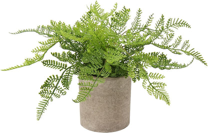 Small Fake Plant Potted Plants Artificial Decor Plastic Asparagus Ferns Plant Faux Plants in Pots for Home Living Room Bedroom Desk Shelf Farmhouse Decoration