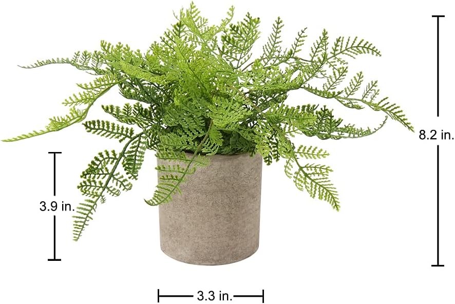 Small Fake Plant Potted Plants Artificial Decor Plastic Asparagus Ferns Plant Faux Plants in Pots for Home Living Room Bedroom Desk Shelf Farmhouse Decoration