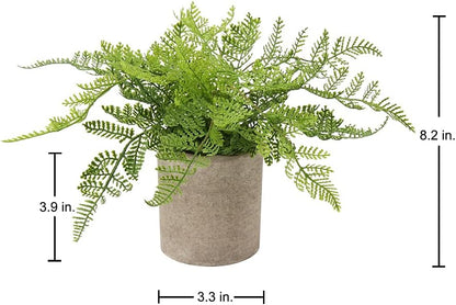 Small Fake Plant Potted Plants Artificial Decor Plastic Asparagus Ferns Plant Faux Plants in Pots for Home Living Room Bedroom Desk Shelf Farmhouse Decoration