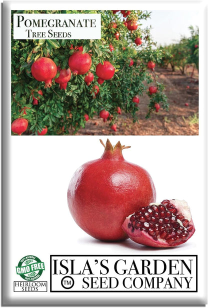 Pomegranate Tree Seeds (Punica granatum) – 30+ Non-GMO Fruit Tree Seeds for Planting, Beautiful Ornamental Tree with Sweet Edible Fruit, by Isla’s Garden Seeds, Gift Idea