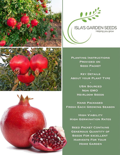 Pomegranate Tree Seeds (Punica granatum) – 30+ Non-GMO Fruit Tree Seeds for Planting, Beautiful Ornamental Tree with Sweet Edible Fruit, by Isla’s Garden Seeds, Gift Idea