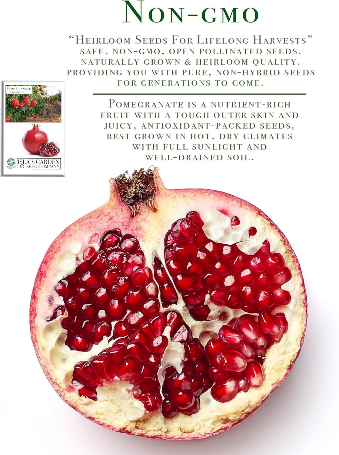 Pomegranate Tree Seeds (Punica granatum) – 30+ Non-GMO Fruit Tree Seeds for Planting, Beautiful Ornamental Tree with Sweet Edible Fruit, by Isla’s Garden Seeds, Gift Idea
