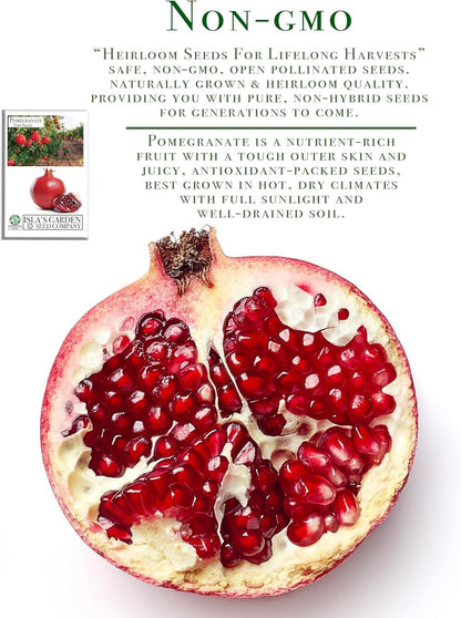 Pomegranate Tree Seeds (Punica granatum) – 30+ Non-GMO Fruit Tree Seeds for Planting, Beautiful Ornamental Tree with Sweet Edible Fruit, by Isla’s Garden Seeds, Gift Idea
