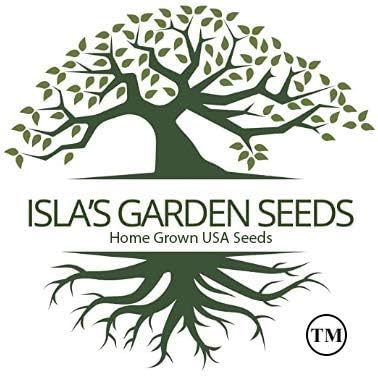 Pomegranate Tree Seeds (Punica granatum) – 30+ Non-GMO Fruit Tree Seeds for Planting, Beautiful Ornamental Tree with Sweet Edible Fruit, by Isla’s Garden Seeds, Gift Idea