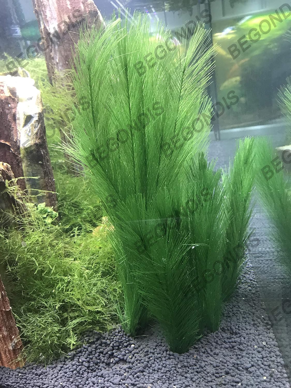 Aquarium Decorations 3Pcs Fish Tank Artificial Green Water Plants Made of Silk Fabrics Plastic