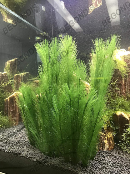 Aquarium Decorations 3Pcs Fish Tank Artificial Green Water Plants Made of Silk Fabrics Plastic