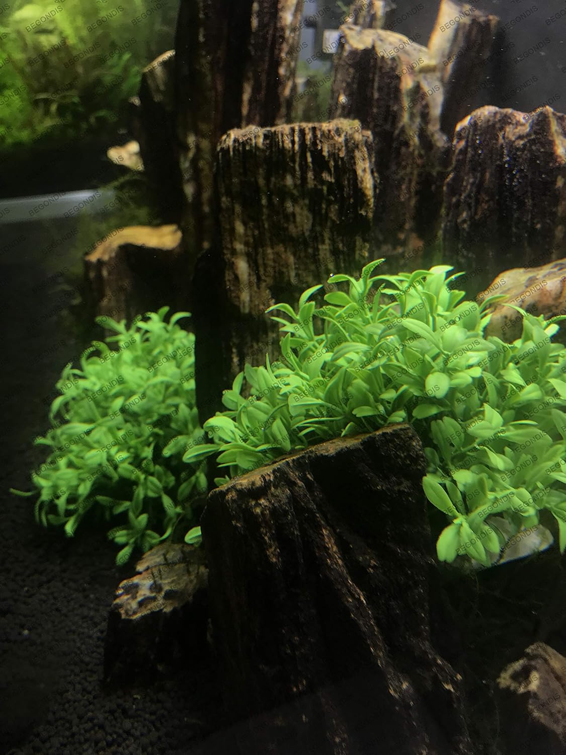 Aquarium Decorations 3Pcs Fish Tank Artificial Green Water Plants Made of Silk Fabrics Plastic